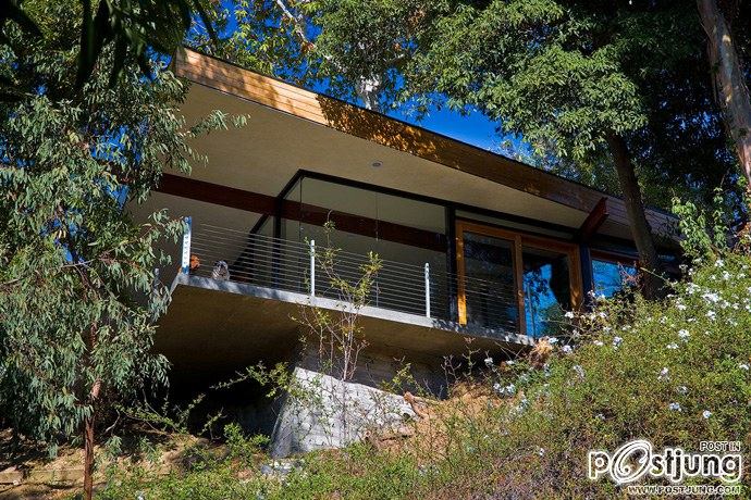 Sycamore House by Aaron Neubert Architects