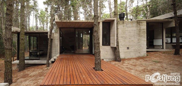 A Forest Hideaway Proves Concrete And Cozy Can Go Together