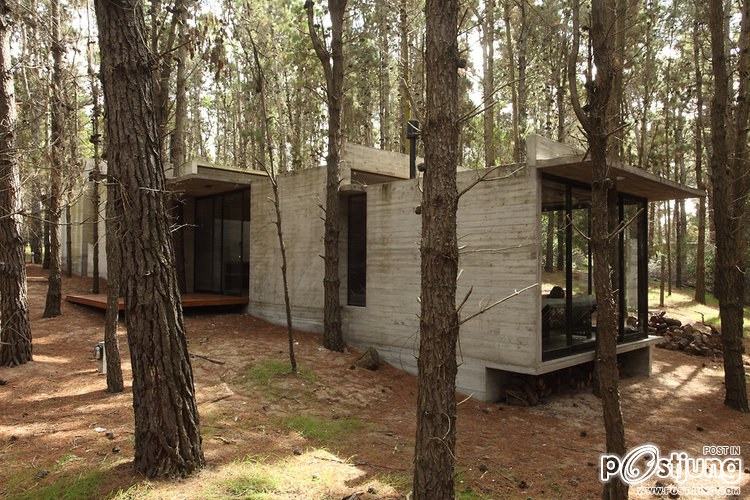 A Forest Hideaway Proves Concrete And Cozy Can Go Together