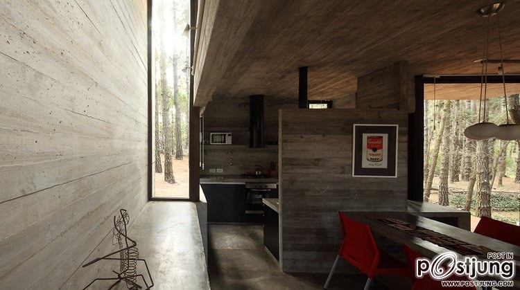 A Forest Hideaway Proves Concrete And Cozy Can Go Together