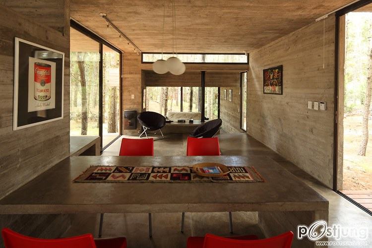 A Forest Hideaway Proves Concrete And Cozy Can Go Together