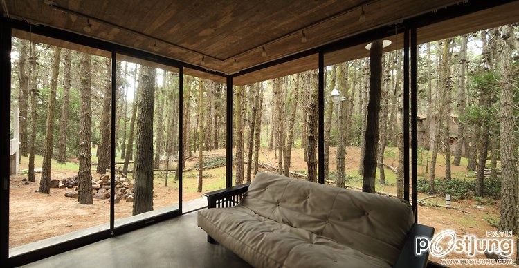 A Forest Hideaway Proves Concrete And Cozy Can Go Together