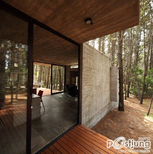 A Forest Hideaway Proves Concrete And Cozy Can Go Together