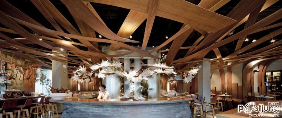 Exuberance Meets Minimalism: The Ikibana Restaurant