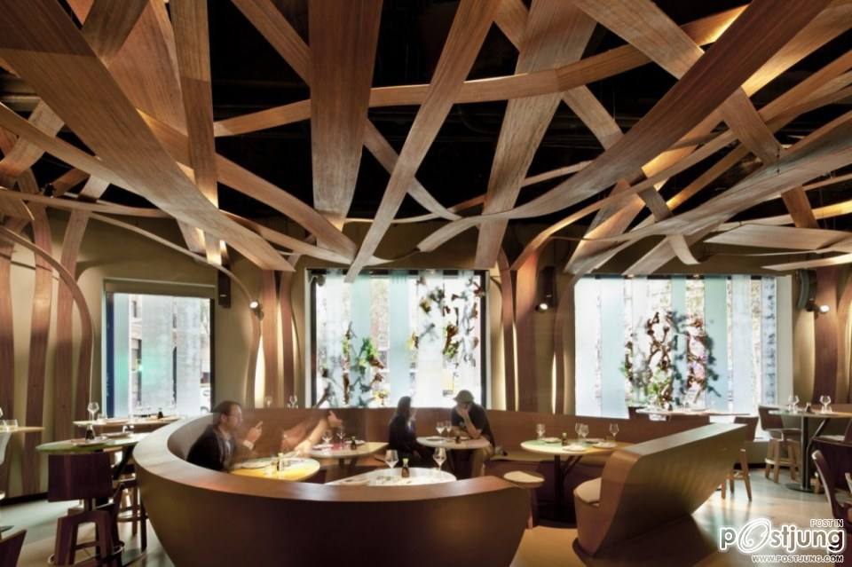 Exuberance Meets Minimalism: The Ikibana Restaurant