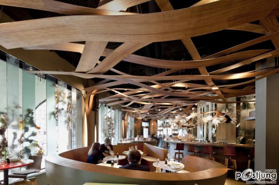 Exuberance Meets Minimalism: The Ikibana Restaurant