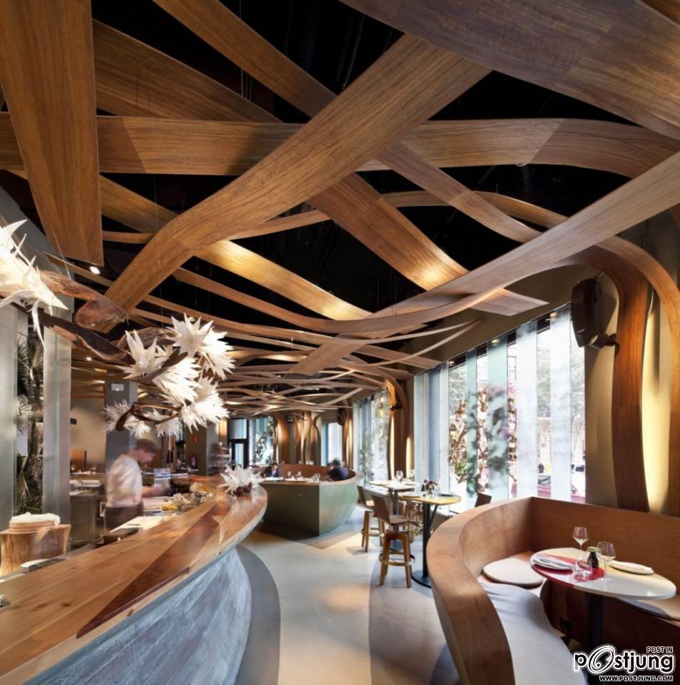 Exuberance Meets Minimalism: The Ikibana Restaurant