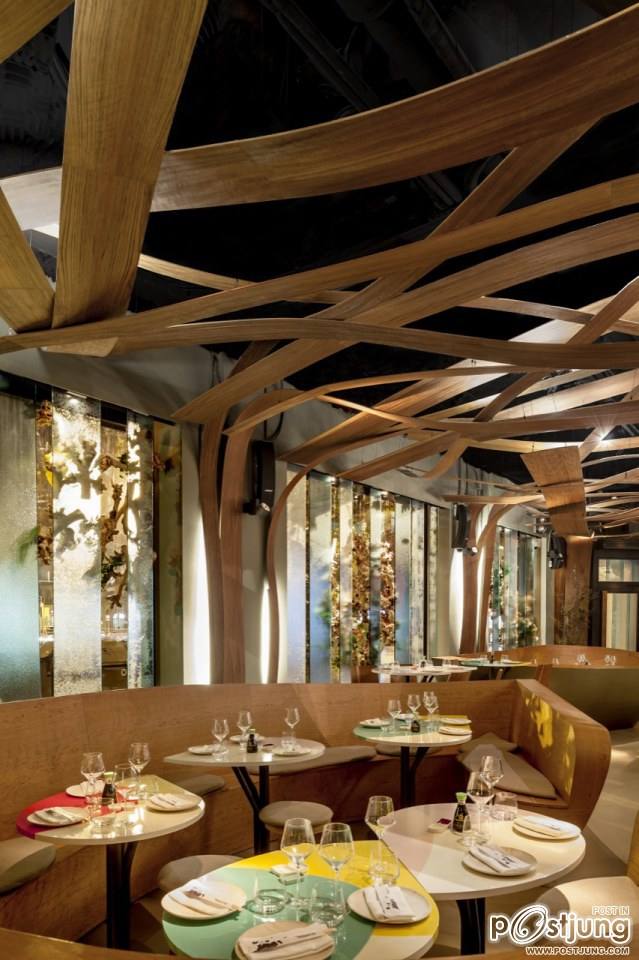 Exuberance Meets Minimalism: The Ikibana Restaurant