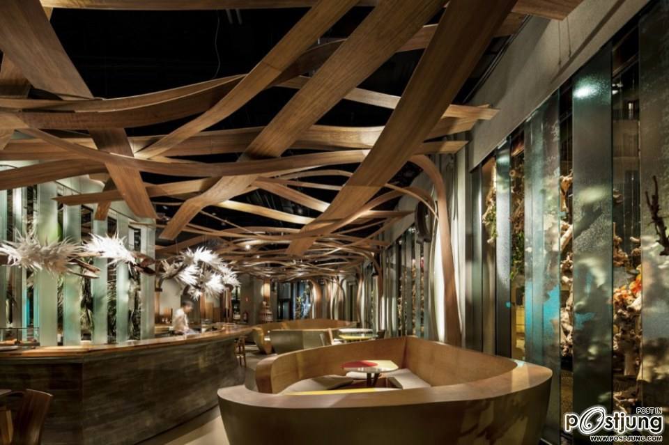 Exuberance Meets Minimalism: The Ikibana Restaurant