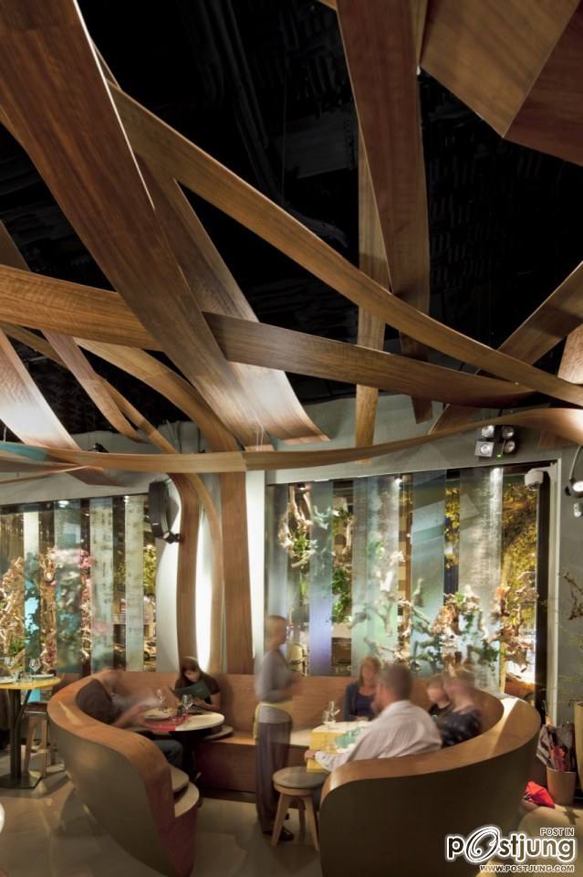 Exuberance Meets Minimalism: The Ikibana Restaurant