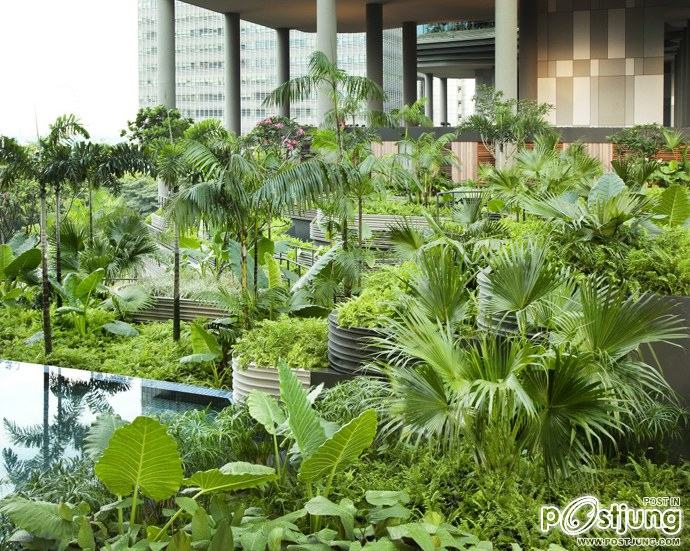 A Hotel as a Garden- PARKROYAL on Pickering by WOHA