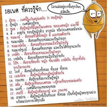 พอดีวู๊ดดี้ ทำให้เราต้องหันกลับมามองโลกเรากับ 18 เพศที่เปลี่ยนไป