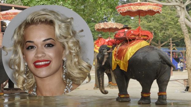 Rita Ora นักร้องดังระดับโลกถ่ายทำเอ็มวีใหม่ที่ไทย