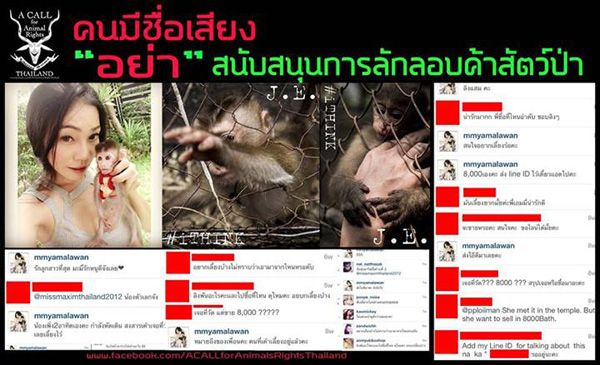 เอมมี่ อมลวรรณ โดนด่ายับ ! หลังโพสต์ขายลิงแสม สัตว์ป่าคุ้มครอง