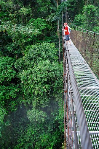 7. สะพานแขวน อาเรแนล (Arenal Hanging Bridges)