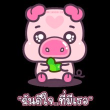 หมู น่ารักมากมาย