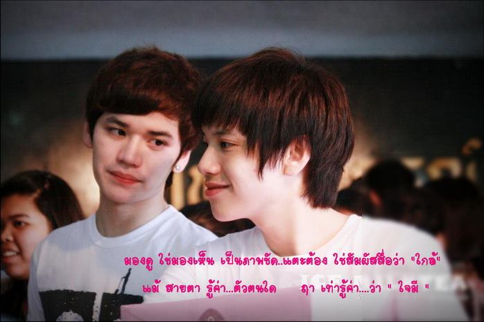 เต๋าคชา  ฟิน