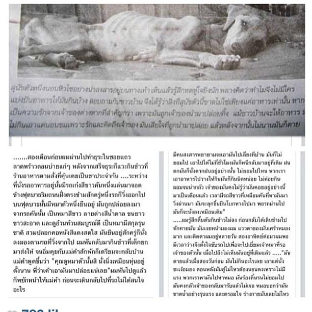 คนแรกที่ 'อั้ม พัชราภา' ซุปตาร์เบอร์ 1 ใช้คำพูดแบบนี้ ^^