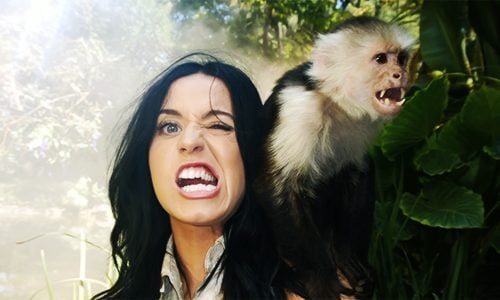 ภาพล่าสุดของสาว Katy Perry จากกองถ่าย MV เพลง Roar