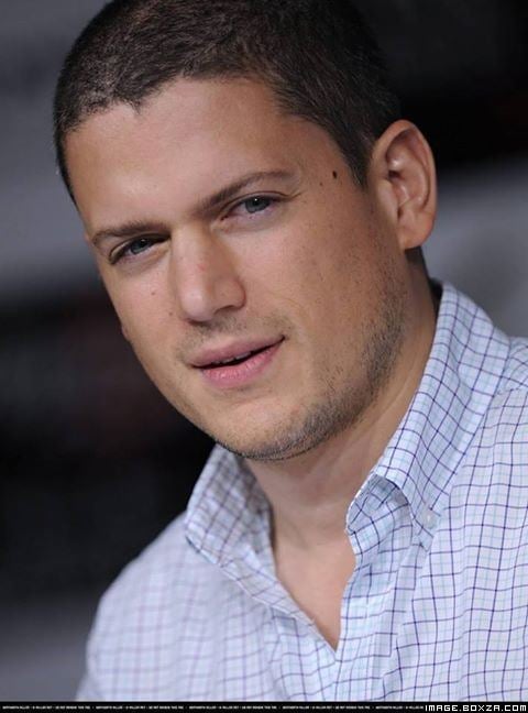 สุดหล่อ Wentworth Miller พระเอก Prison Break