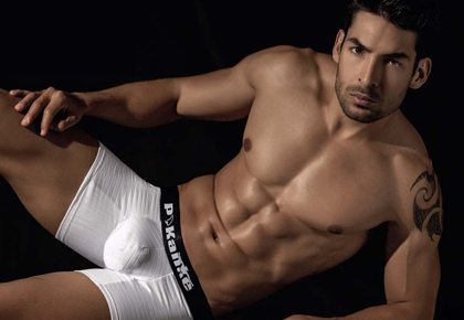 Pikante Underwear 2013 : HQ images