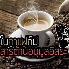 กาแฟก็มีสารต้านอนุมูลอิสระ!?