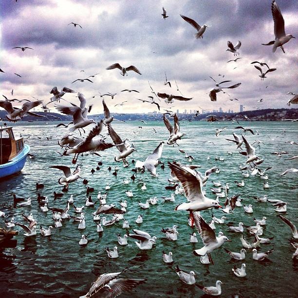 Istanbul