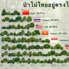 พื้นที่ป่าในไทยอยู่ตรงไหน?