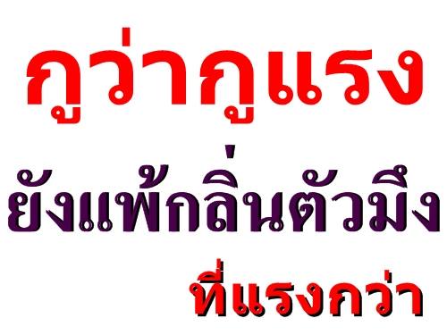 เฮฮา กัน