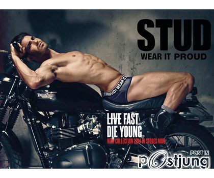 STUD : Live Fast Die Young