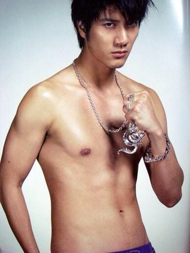 Wang Lee Hom