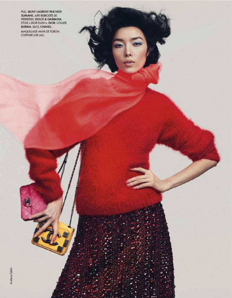 Fei Fei Sun @ ELLE France December 2013