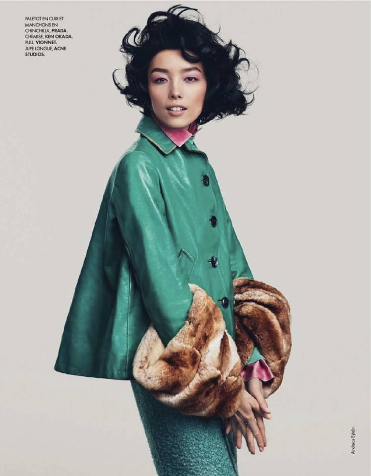 Fei Fei Sun @ ELLE France December 2013