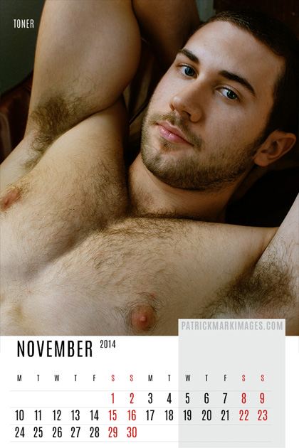 Patrick Mark : 2014 Calendar