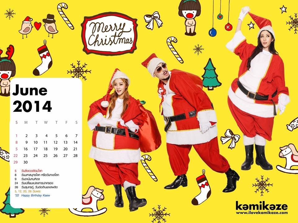 Kamikaze Calendar 2014