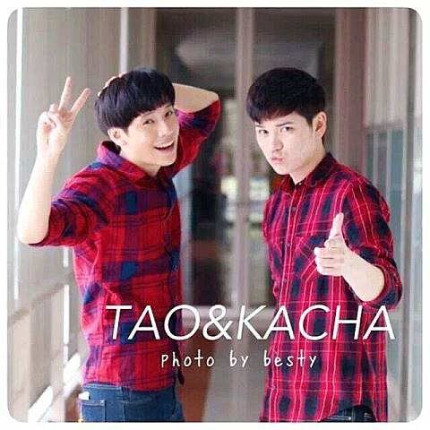 I love TaoKacha4
