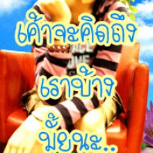 ดิสเพลย์8