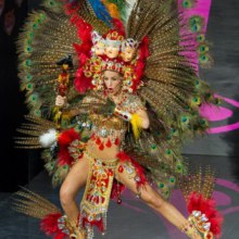 Best In National Costume In Miss Universe 2013