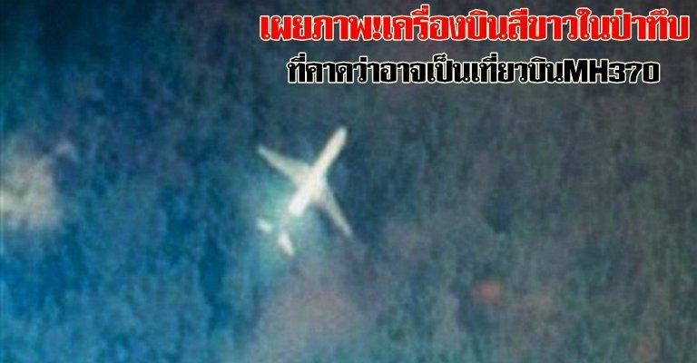 เผยภาพ! เครื่องบินสีขาวในป่าทึบในเว็บไซต์ค้นหาเครื่องบิน ที่คาดว่าอาจเป็นเที่ยวบิน MH370 ที่หายไป