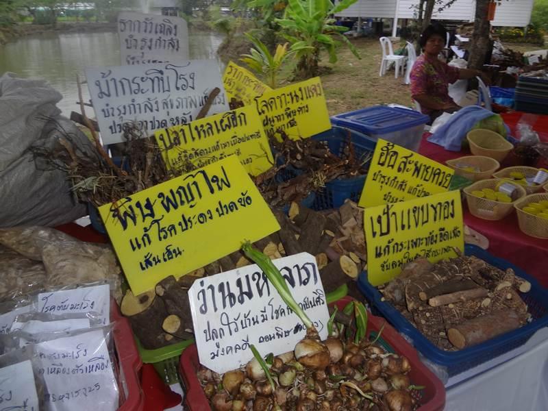ได้เห็นและได้รู้จัก ชื่อ ว่าน เหล่านี้ ในงานคนไทยหัวใจเกษตร ครั้งที่5 นี่แหละ !!!