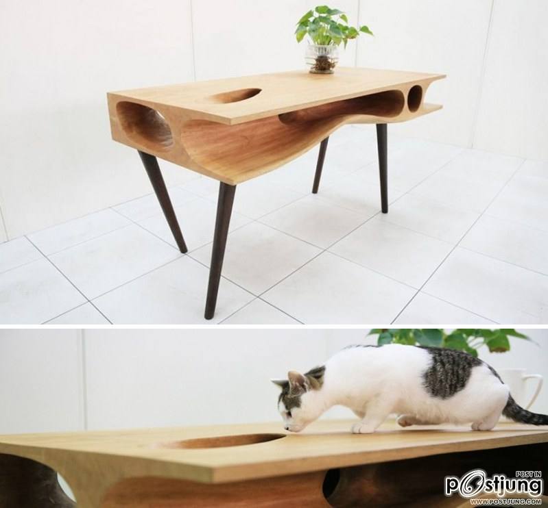 CATable- A table for Us and a Paradise for Cats by Ruan Hao