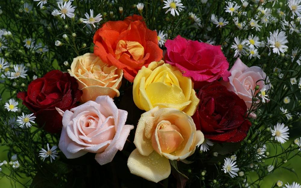 ภาพดอกไม้สวยๆ HD-3D-Wallpapers-Backgrounds (Flower)ภาพพื้นหลัง พักหน้าจอ No.2