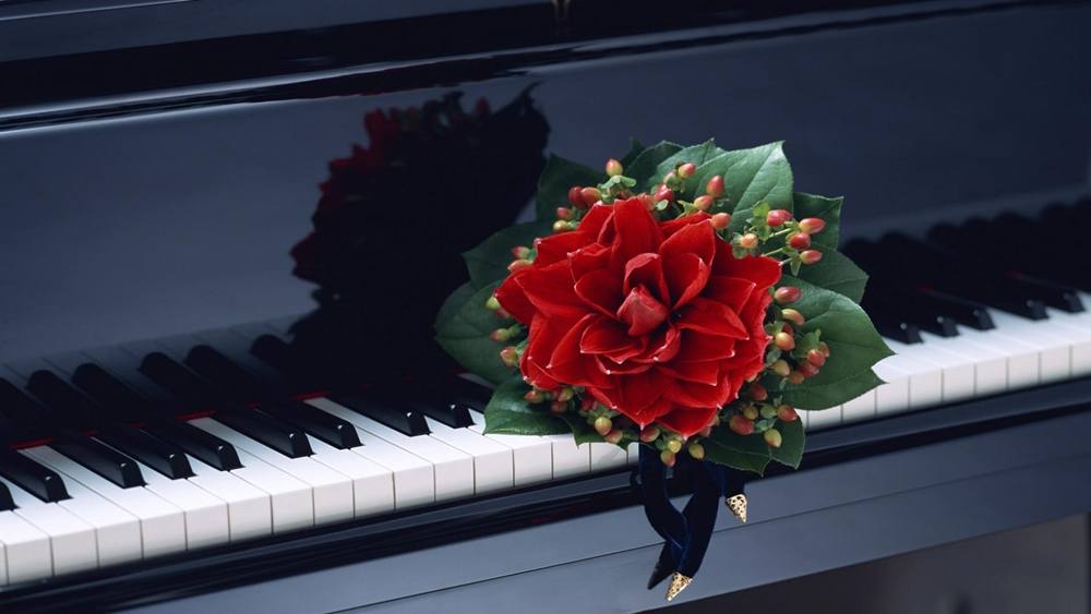 ภาพดอกไม้สวยๆ HD-3D-Wallpapers-Backgrounds (Flower)ภาพพื้นหลัง พักหน้าจอ No.3