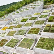 Awaji Yumebutai International Conference Center by Tadao Ando