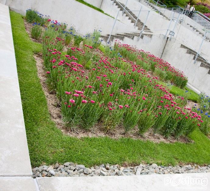 Awaji Yumebutai International Conference Center by Tadao Ando