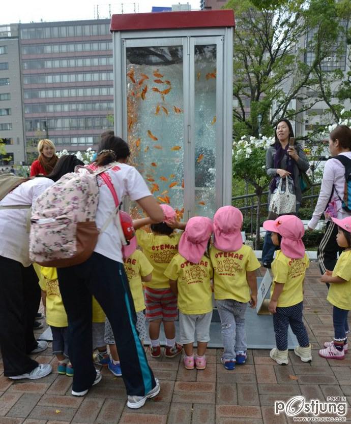 Public Phone Booth Transformed Into Giant Fish Aquarium