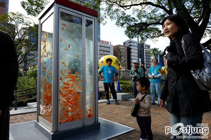 Public Phone Booth Transformed Into Giant Fish Aquarium