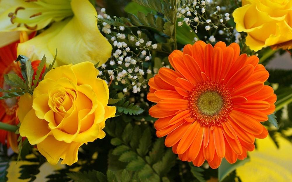 ภาพดอกไม้สวยๆ HD-3D-Wallpapers-Backgrounds (Flower)ภาพพื้นหลัง พักหน้าจอ No.20