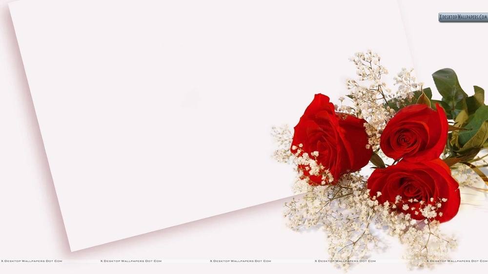 ภาพดอกไม้สวยๆ HD-3D-Wallpapers-Backgrounds (Flower)ภาพพื้นหลัง พักหน้าจอ No.24