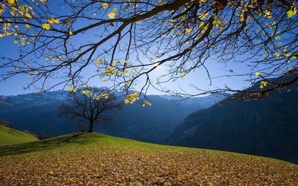 Season-(Spring-Autumn)HD-Wallpapers-Backgrounds ภาพพื้นหลัง พักหน้าจอ No.1